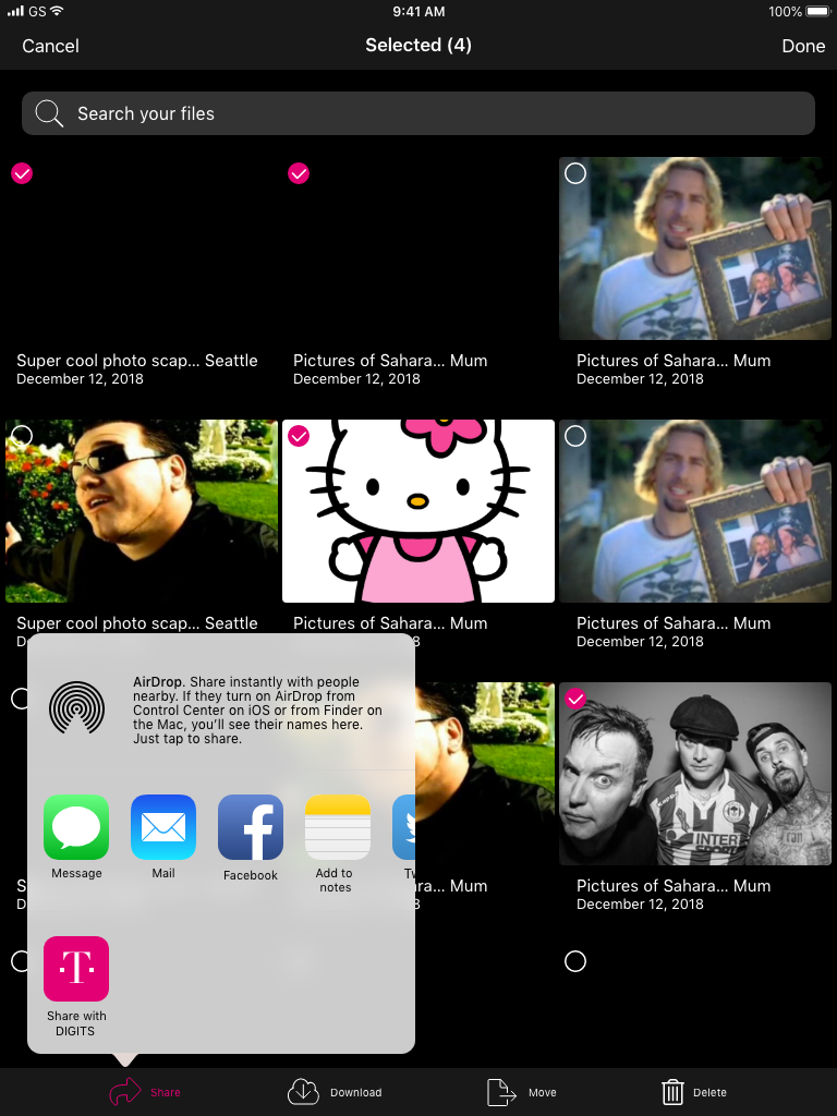 Screenshot from DIGITS IPAD Project